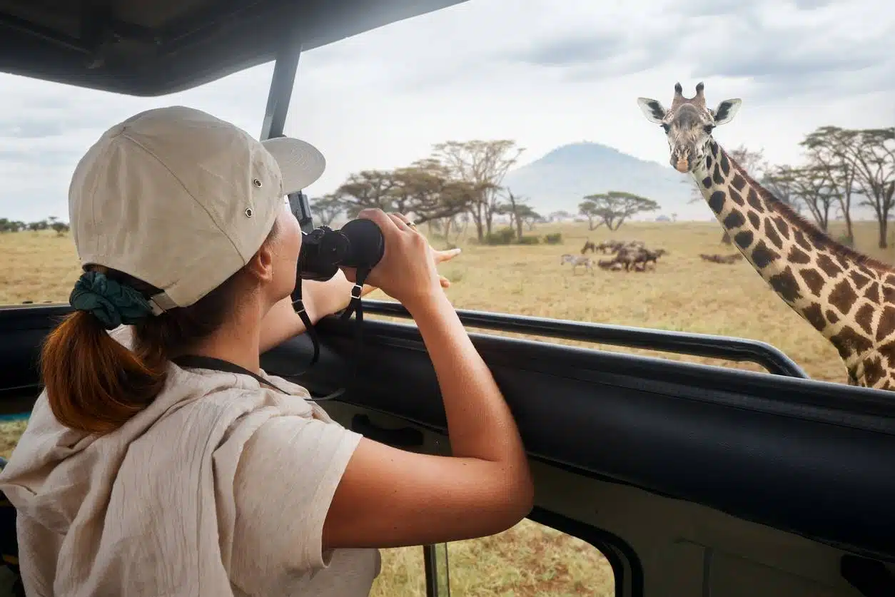 Safari en Afrique de l'Est