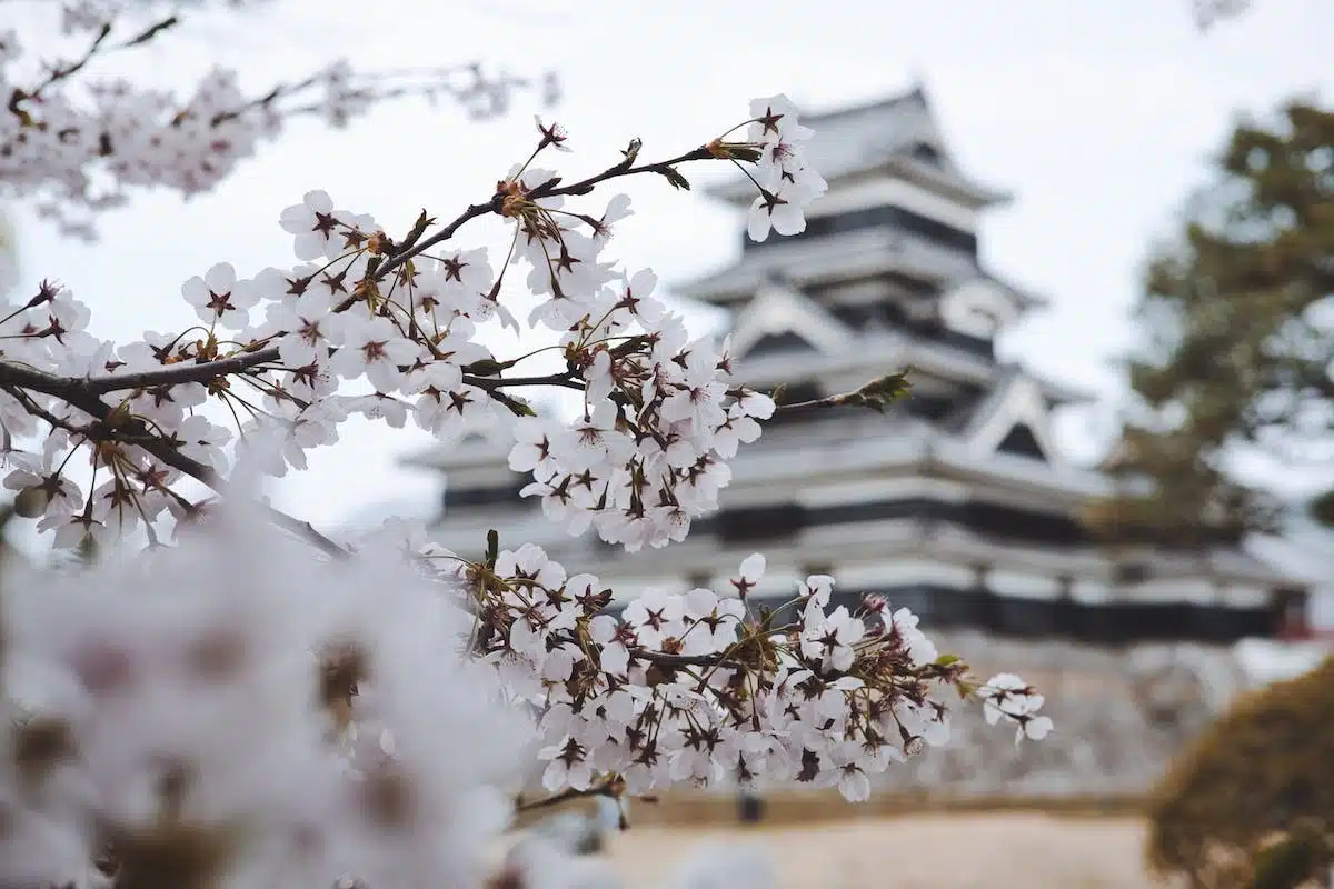 japon atypique