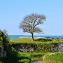 L'île d'oléron : votre destination hôtelière parfaite !