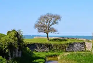 L'île d'oléron : votre destination hôtelière parfaite !