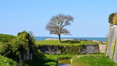 L'île d'oléron : votre destination hôtelière parfaite !