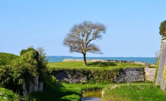 L'île d'oléron : votre destination hôtelière parfaite !